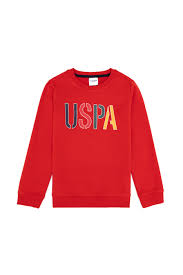 Küçük Erkek Çocuk Sweatshirt